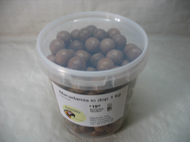 Macadamia noten in dop
