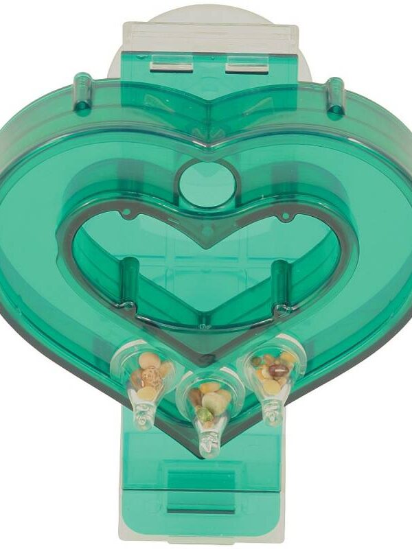 Mastermind Heart